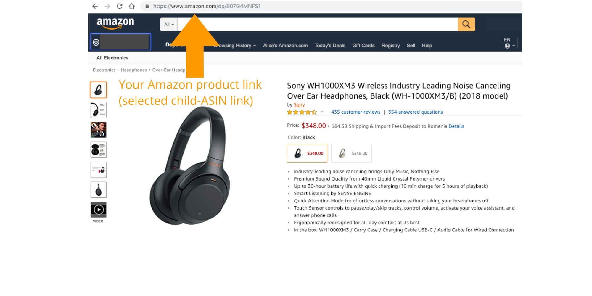 How to Export Your Amazon Reviews – FeedCheck Blog