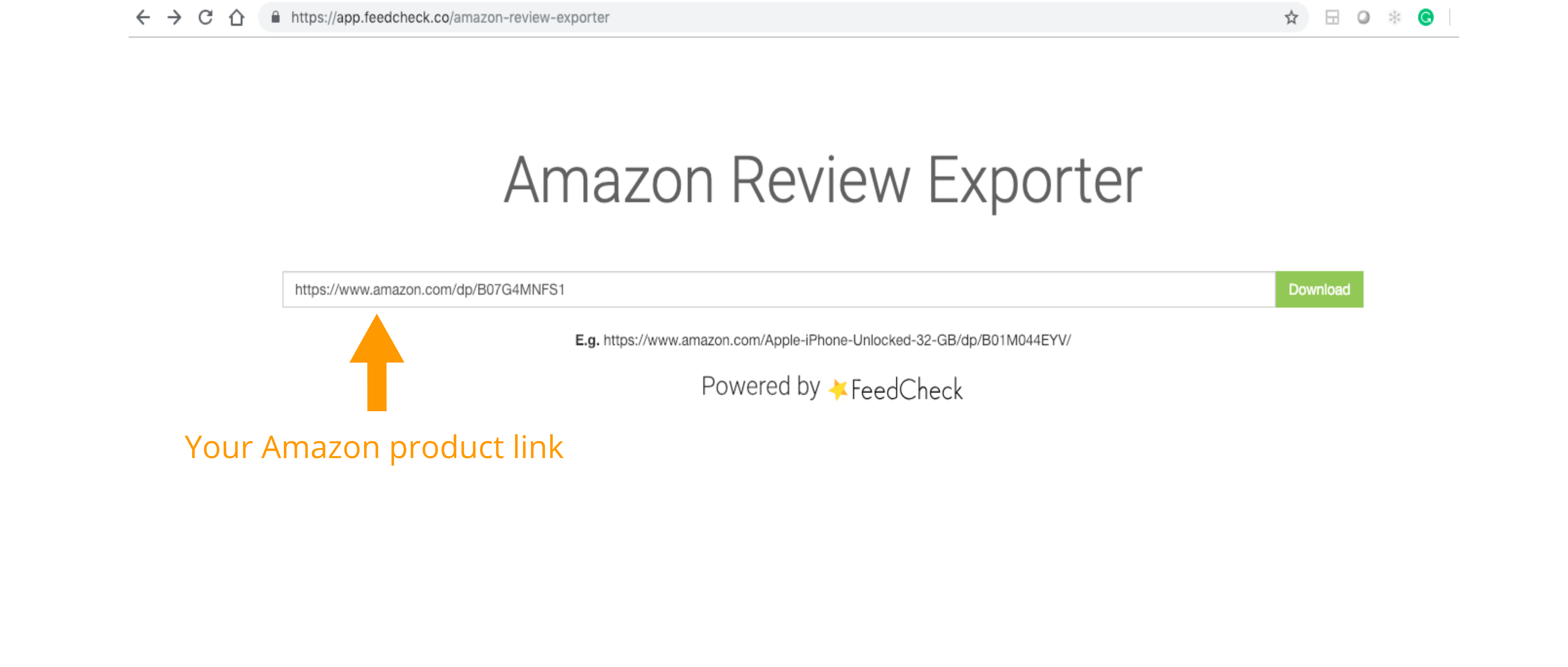 export amazon reviews